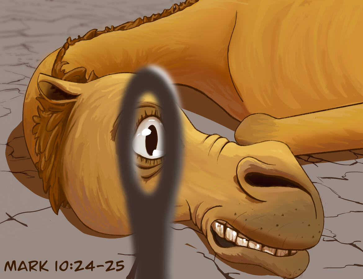 Eye of a Neddle